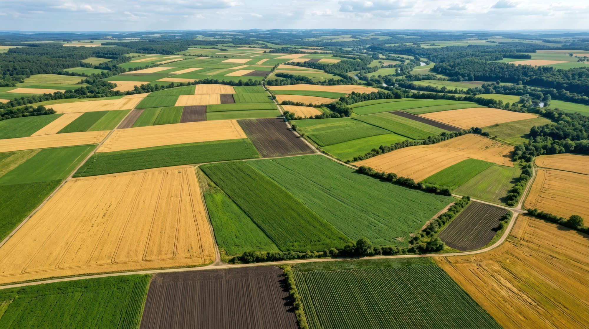 Vista aérea de un campo con lotes de distintos cultivos